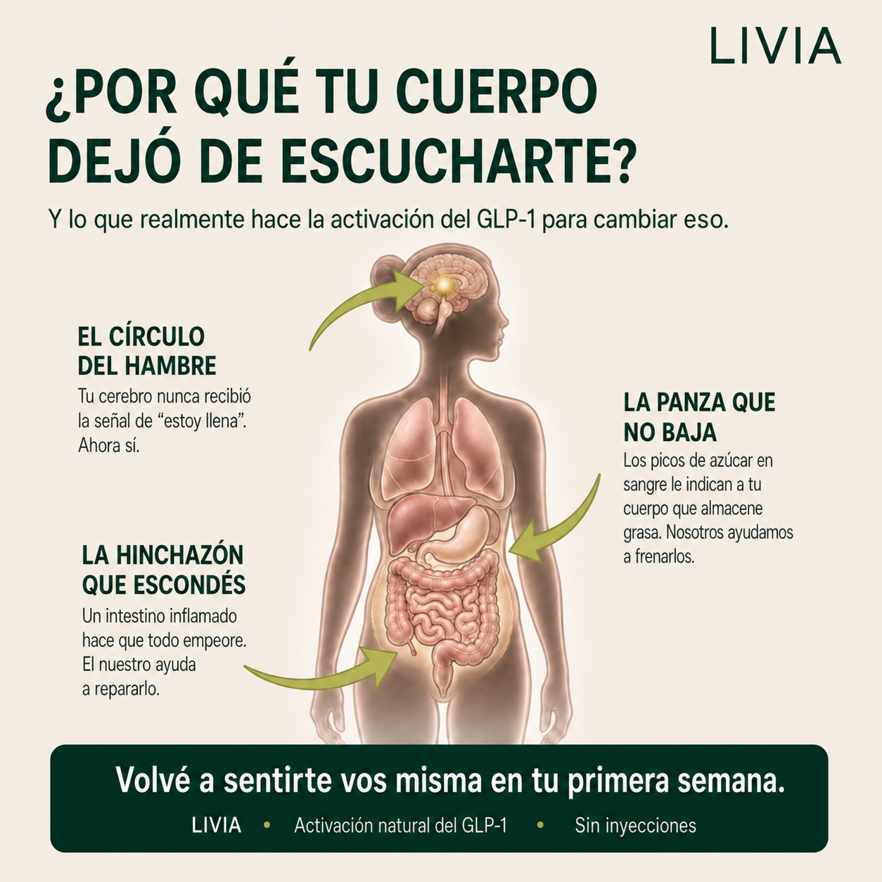 LIVIA | Antojos, Energía y Bienestar Digestivo
