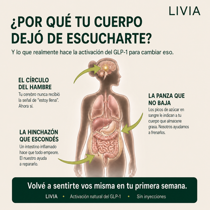 LIVIA | Antojos, Energía y Bienestar Digestivo